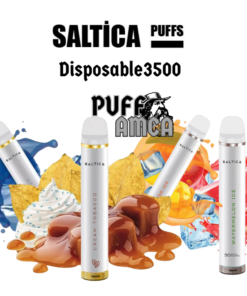 saltica3500