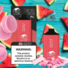 Puff Tech Mega Watermelon Bubblegum 10000 Puff