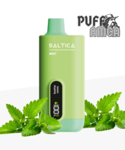 saltica 10000 mint puff pufamca.com.tr