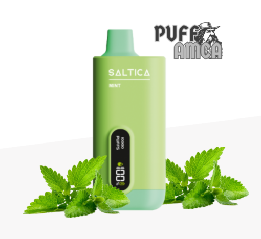 saltica 10000 mint puff pufamca.com.tr