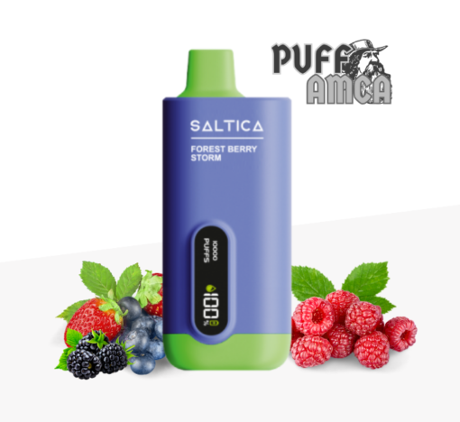 saltica 10000 forest berry storm puff pufamca.com.tr