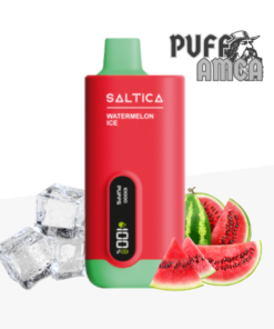 saltica 10000 puff pufamca.com.tr