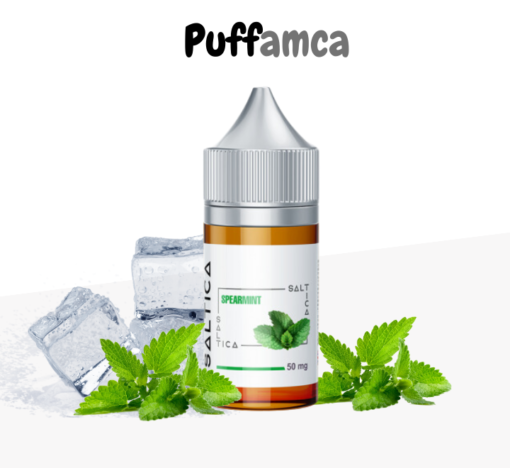 Saltica Spearmint Salt Likit pufamca.com.tr