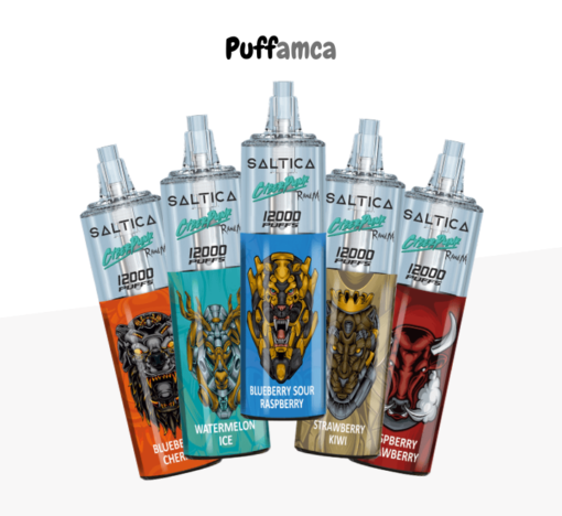 saltica 12000 puff pufamca.com.tr