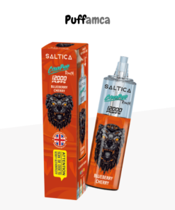 saltica 12000 puff pufamca.com.tr