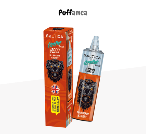 saltica 12000 puff pufamca.com.tr