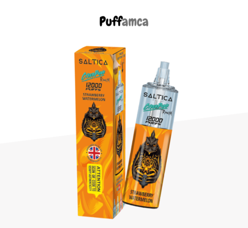 saltica 12000 puff pufamca.com.tr