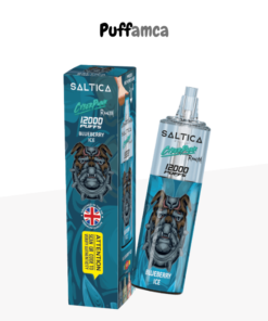 saltica 12000 puff pufamca.com.tr