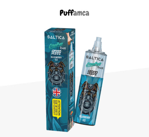 saltica 12000 puff pufamca.com.tr