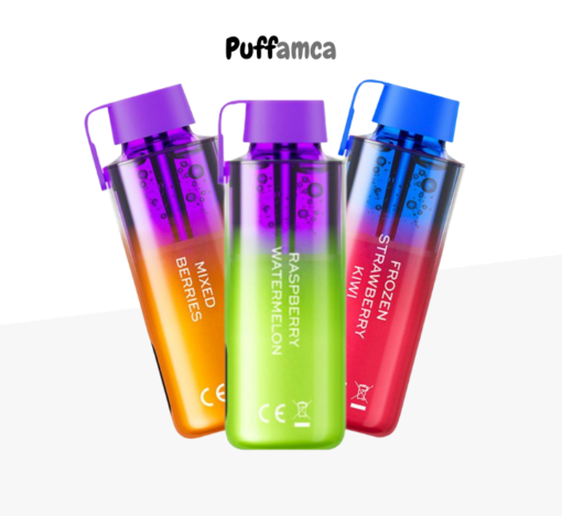 Vozol Neon 10000 Puff pufamca.com.tr