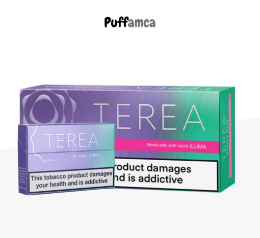 IQos Terea Purple pufamca.com.tr