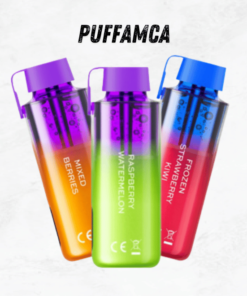 Vozol Neon 10000 Puff pufamca.com.tr