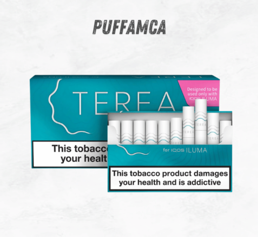 IQos Terea Turkuaz