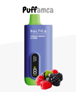 Saltica 12OOO Puff Puffamca.info