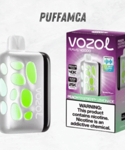 Vozol Rave 40000 Puf