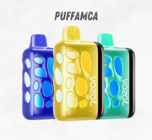 Vozol Rave 40000 Puf